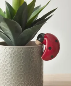 Ladybird Flower Pot Hanger