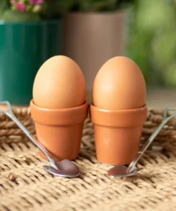 Plant Pot Egg Cup Set with Shovel Spoons