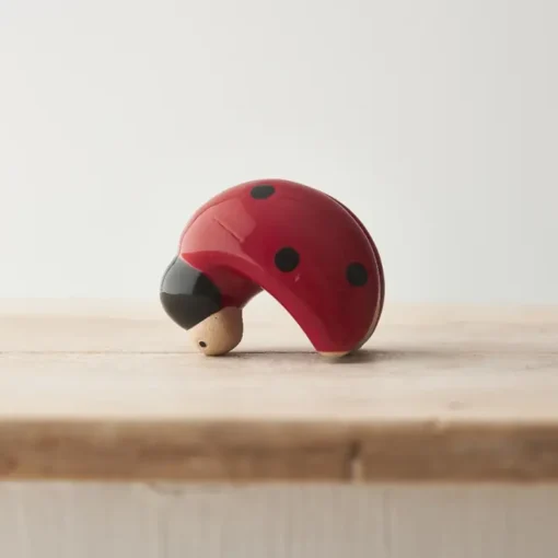 Ladybird Flower Pot Hanger - Image 3